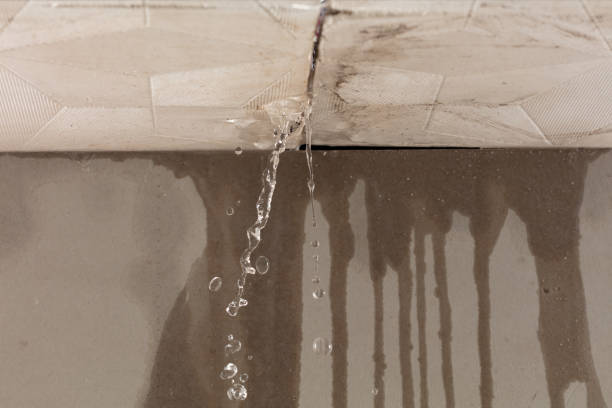 Professional Burst Pipe Cleanup technician working in Robbins, TN